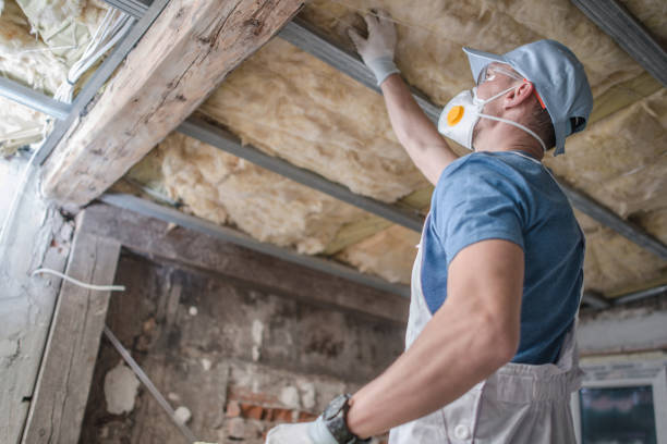 Best Insulation Contractor Near Me  in Valley, NE
