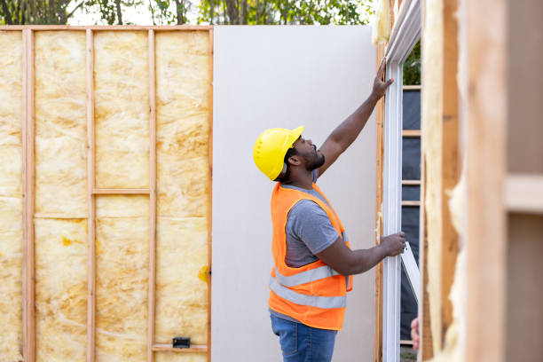Best Local Insulation Services  in Valley, NE