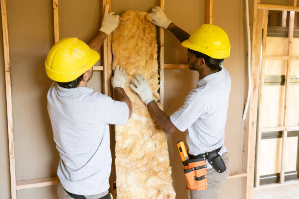 Best Blown-in Insulation  in Valley, NE