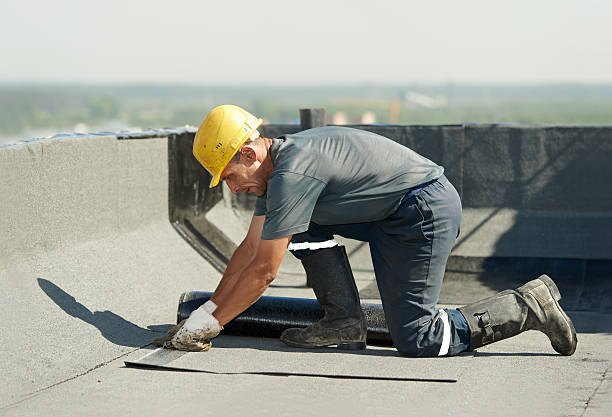 Best Commercial Insulation Contractor  in Valley, NE