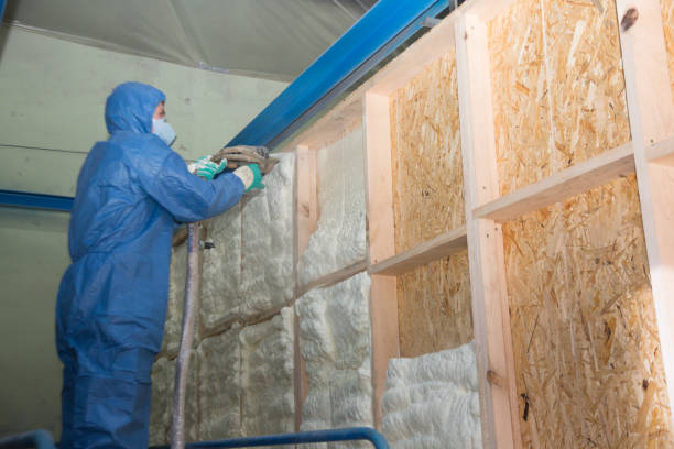 Best Insulation Replacement Services  in Valley, NE