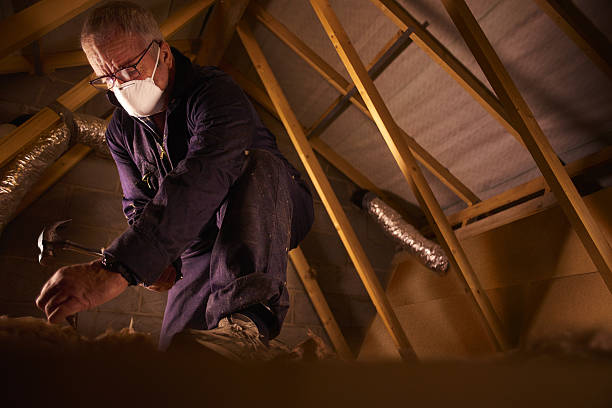 Best Home Insulation Services  in Valley, NE